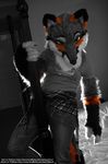  canine dancing desaturated eosfoxx female fox fursuit green_eyes greyfox invalid_tag island_grey_fox mammal phoenix pole solo 