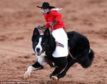  cowboy dog duo feral mammal monkey outside primate riding running unknown_artist 