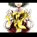  amagaya_(rat-tat-tat) bad_id bad_pixiv_id flower green_hair head_out_of_frame kazami_yuuka letterboxed plaid plaid_vest solo sunflower touhou vest 