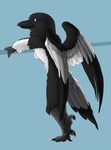  bird bleuhawke feathers female leaning magpie nude solo wings 