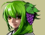  bad_id bad_pixiv_id face food fruit grapes green_eyes green_hair highres original simple_background solo takauma 