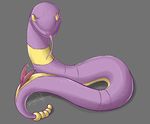  cloaca cum ekans erection feral forked_tongue hemipenes long_tongue looking_at_viewer male multi_cock nintendo penis pok&#233;mon precum purple purple_body reptile ryunwoofie scalie slit snake solo tail tongue tongue_out video_games yellow yellow_eyes 
