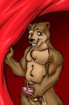  balls bear dbruin erection green_eyes looking_at_viewer male mammal masturbation penis pose solo 