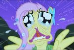  equine female fluttershy_(mlp) friendship_is_magic hasbro horse my_little_pony nightmare_fuel pegasus pony wings 