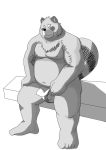  2010 anthro balls belly blush canid canine clothing flaccid fundoshi humanoid_hands japanese_clothing male mammal moobs nipples one_eye_closed overweight overweight_male penis raccoon_dog simple_background sitting solo tanuki underwear wink 
