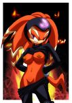 clothing echidna female fire looking_at_viewer nipples pants pants_down purple_eyes pussy sega shade_the_echidna shirt shirt_lift solo sonic_(series) tail unknown_artist 