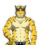  anthro biceps big_muscles body_markings eyewear feline fruitz gamma-g goggles hand_on_hip looking_at_viewer male mammal markings morenatsu muscles nipples one_eye_closed pecs plain_background smile solo speedo standing swimsuit tiger topless torahiko_ooshima white_background wink 