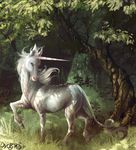  ambiguous_gender equine feral forest grass hooves horn mammal nathradas outside scenery sheeras solo tree unicorn wood 