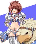  armor bad_id bad_pixiv_id bangs bikini_armor breasts brown_eyes brown_hair chibi_(nekomimimi) gauntlets griffin hand_on_hip medium_breasts navel open_mouth ragnarok_online royal_guard shoulder_pads simple_background thighhighs 