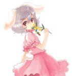  animal_ears bunny_ears bunny_tail carrot flower inaba_tewi kemuma red_eyes solo tail touhou 