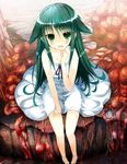  dress green_eyes green_hair hoshikuzu long_hair saya saya_no_uta solo 