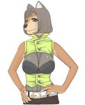  ???? belt breasts canine cleavage clothed clothing female hyoushi_maigo looking_at_viewer mammal plain_background pose solo standing white_background 