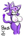  abstract_background big_breasts blaze_the_cat breasts cat feline female fur hair huge_breasts mammal nipples plain_background purple purple_body purple_fur purple_hair sega simple_background solo sonic_(series) tail thecon voluptuous white_background yellow_eyes 