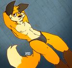  fox male mammal nipples portzebie solo tail underwear 