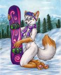  female fox heterochromia mammal nude ravyn scarf silentravyn snow snowboard solo 