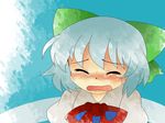  bad_id bad_pixiv_id blue_eyes blue_hair blush cirno close-up closed_eyes crying hammer_(sunset_beach) solo tears touhou wings 