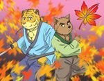  canine duo feline fruitz male mammal samurai tiger wolf 