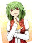  ascot green_hair highres kazami_yuuka ni_(ippozenshin) plaid plaid_vest red_eyes short_hair smile solo touhou upper_body vest 