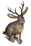  animal antlers bunny creature g.river horns jackalope lowres no_humans rabbit simple_background solo 