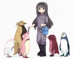  abubu akemi_homura animalization bird black_eyes black_hair boots bucket commentary_request drill_hair eating feeding fish hairband kaname_madoka kyubey long_hair mahou_shoujo_madoka_magica miki_sayaka parody penguin sakura_kyouko simple_background standing tomoe_mami twin_drills twintails white_background 