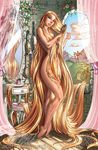  j_scott_campbell rapunzel tagme 