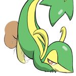  pokemon snivy tagme 