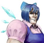  blue_eyes blue_hair cirno genderswap genderswap_(ftm) male_focus manly sketch solo touhou 