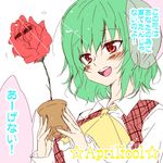  april_fools ascot blush flower kazami_yuuka lowres open_mouth plaid plaid_vest plant potted_plant red_flower red_rose riku_yama rose smile solo sunglasses thorns touhou translated upper_body vest 