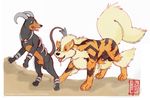  arcanine fennec houndoom pokemon tagme 