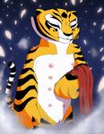  kung_fu_panda master_tigress tagme 