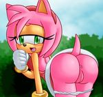  amy_rose chaossabre mikuhoshi sonic_team tagme 