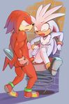  battle_angel knuckles_the_echidna silver_the_hedgehog sonic_team tagme 