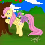  fluttershy friendship_is_magic my_little_pony spike tagme 