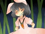  animal_ears bad_id bad_pixiv_id bamboo black_hair bunny_ears carrot carrot_necklace close-up closed_eyes comic dress grin hammer_(sunset_beach) inaba_tewi jewelry necklace pendant short_hair silent_comic smile solo touhou 