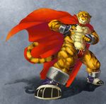  build_tiger build_tiger_(character) bulge cape claws clothed clothing feline gamma-g gay gloves half-dressed male mammal muscles nipples solo thong tiger topless 
