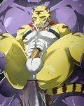  balls build_tiger build_tiger_(character) butt debirobu feline gay male mammal muscles penis size_difference tiger 