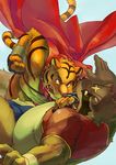  build_tiger_(character) feline fight gay male mammal muscles raccoon tiger unknown_artist 