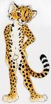  balls cheetah cub feline male mammal nude sheath solo spera young 
