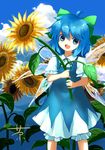  bad_id bad_pixiv_id blue_eyes blue_hair bow chagen_kokimu cirno cloud day dress flower hair_bow open_mouth short_hair sky smile solo sunflower touhou wings 