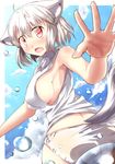  animal_ears ass blush breasts bubble cloud inubashiri_momiji large_breasts no_bra no_pants panties red_eyes short_hair sideboob sky solo tail touhou underwear wakudori white_hair white_panties wolf_ears wolf_tail 