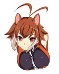  :3 animal_ears antenna_hair attp bad_id bad_pixiv_id bare_shoulders blazblue breasts brown_hair large_breasts looking_at_viewer makoto_nanaya multicolored_hair red_eyes short_hair smile solo squirrel_ears two-tone_hair white_background zipper 