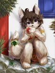  blush brown_hair canine cloth clothed clothing eixin female fruit hair looking_at_viewer mammal purple_eyes sitting skimpy solo swimsuit wolf 