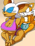  bat big_breasts blush breasts bulge canine dboy duo female fox green_eyes male mammal miles_prower rouge_the_bat sega sonic_(series) swimsuit tail warm_colors wings 