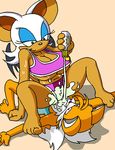  big_breasts blush breasts canine dboy female fox green_eyes male mammal miles_prower rouge_the_bat sega sonic_(series) swimsuit tail warm_colors wings 