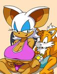  big_breasts breasts canine dboy female fox green_eyes male mammal miles_prower rouge_the_bat sega sonic_(series) swimsuit tail warm_colors wings 