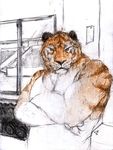  gym looking_at_viewer male mammal muscles racoonwolf sketch solo tiger 