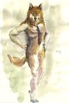 canine chromatic_background male mammal necktie nude pose racoonwolf solo wolf 