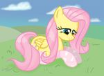  equine female field fluttershy_(mlp) friendship_is_magic hasbro horse lunar_apologist my_little_pony pegasus pony socks solo wings 