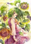  ascot closed_umbrella flower green_hair kazami_yuuka plaid plaid_skirt plaid_vest red_eyes short_hair skirt skirt_set solo sunflower touhou toyoda_izumi traditional_media umbrella vest wind 