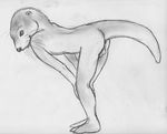  anus balls bent_over greyscale male mammal monochrome mustelid nude otter plain_background sketch solo spera white_background 